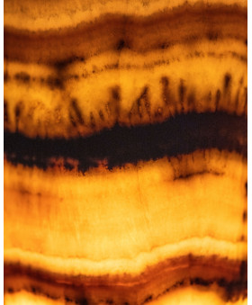 Lux Noctis Collection I